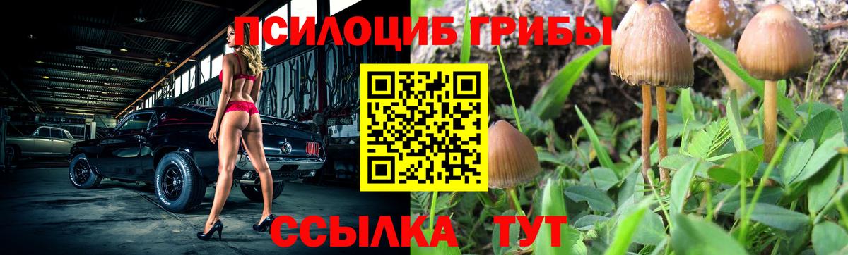 Галлюциногенные грибы мухоморы Сегежа