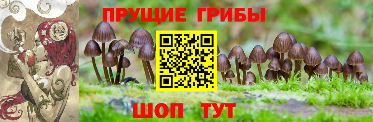 Псилоцибиновые грибы Magic Shrooms  Галлюциногенные грибы Magic Shrooms  Сегежа  продажа наркотиков  Вход с VPN 